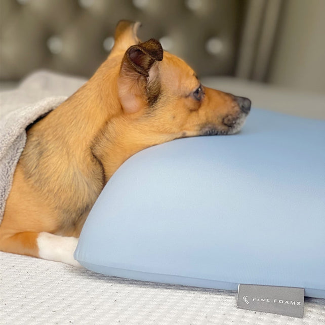 Fine Foams Pillow