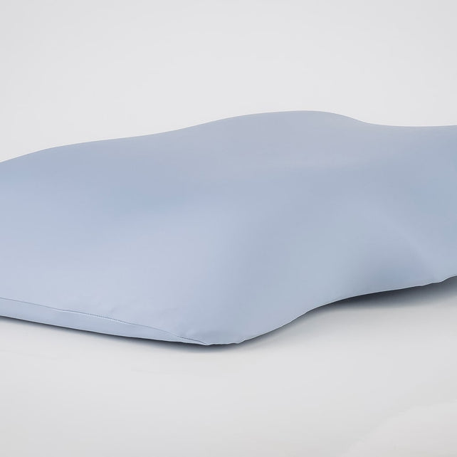 Fine Foams Pillow